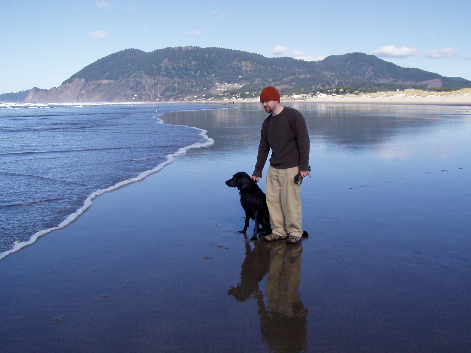 Association of professional dog walkers and sitters - dog