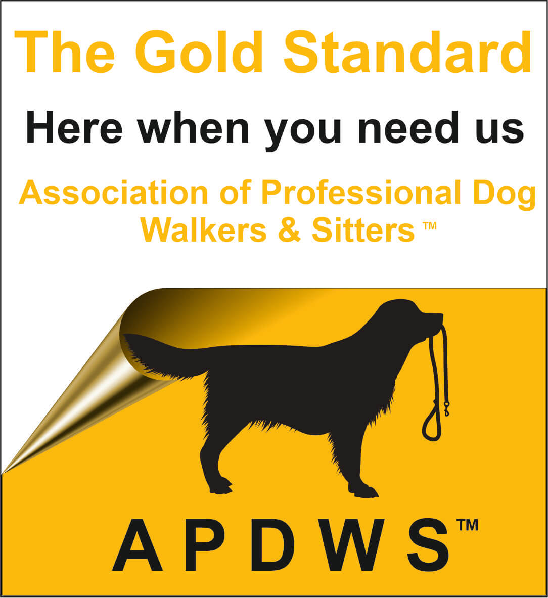 apdws_gold